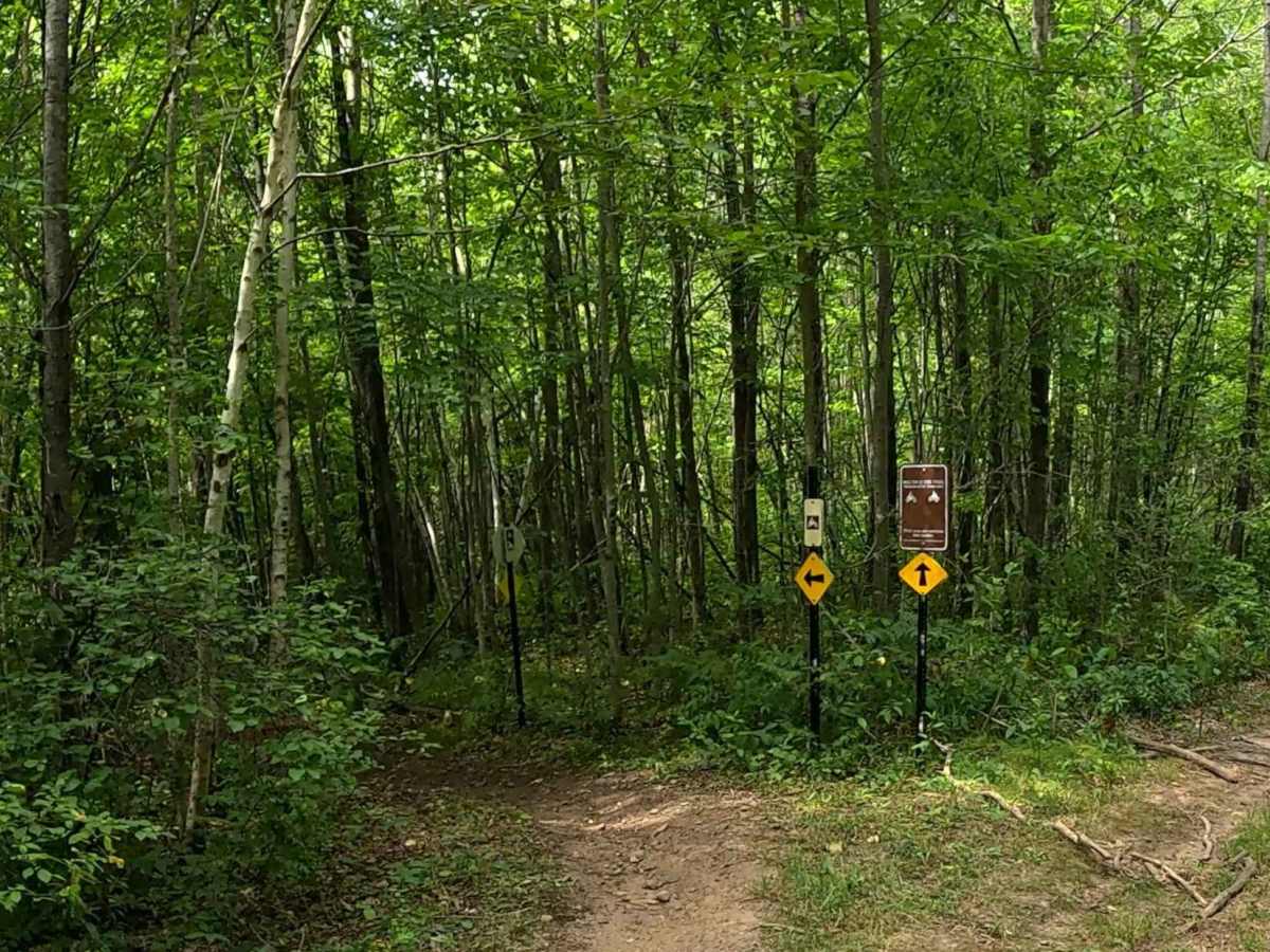 Norsemen Pass trail photo
