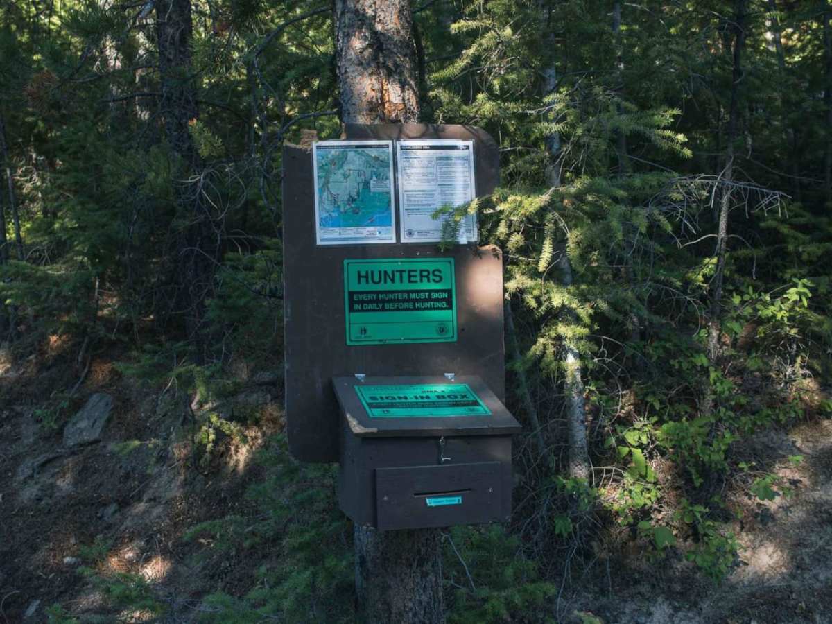 North Fork Gold Creek photo 6