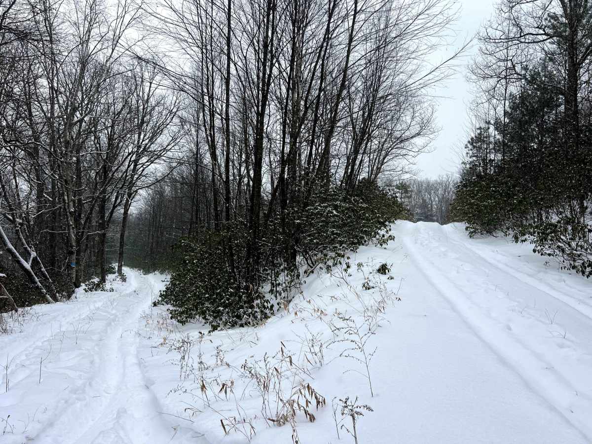 Tin Shanty Spur Trail trail photo