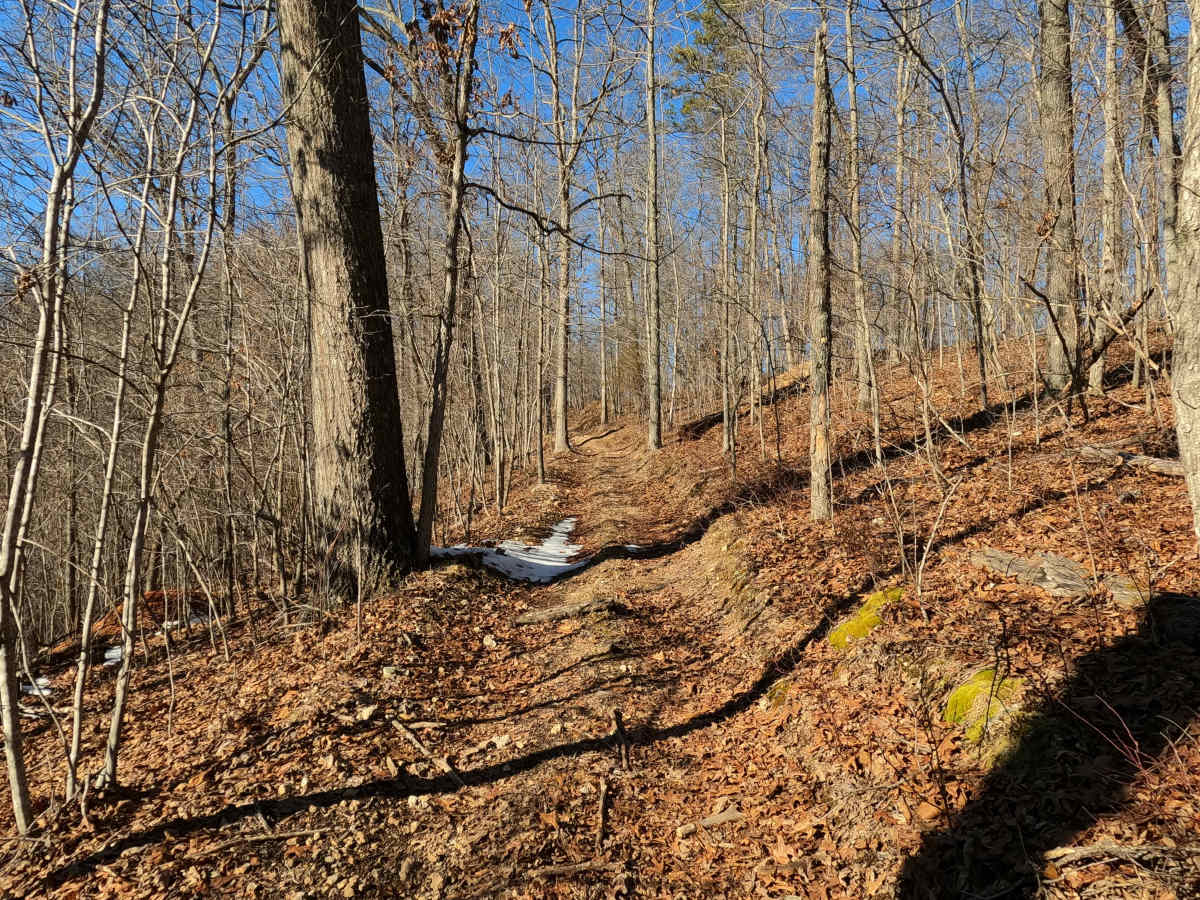 Sutton Bluff ATV 4 North - SB 4 photo 5