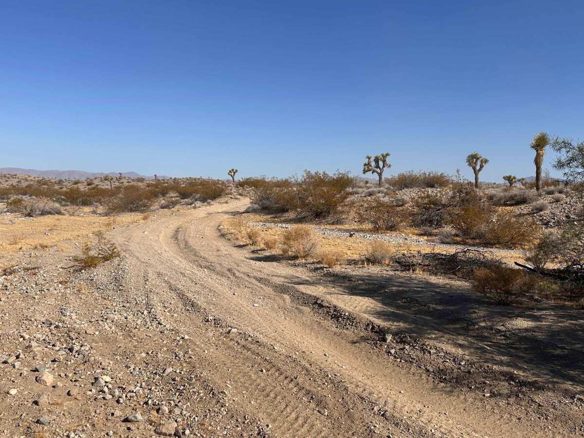Open Range Trail photo 2