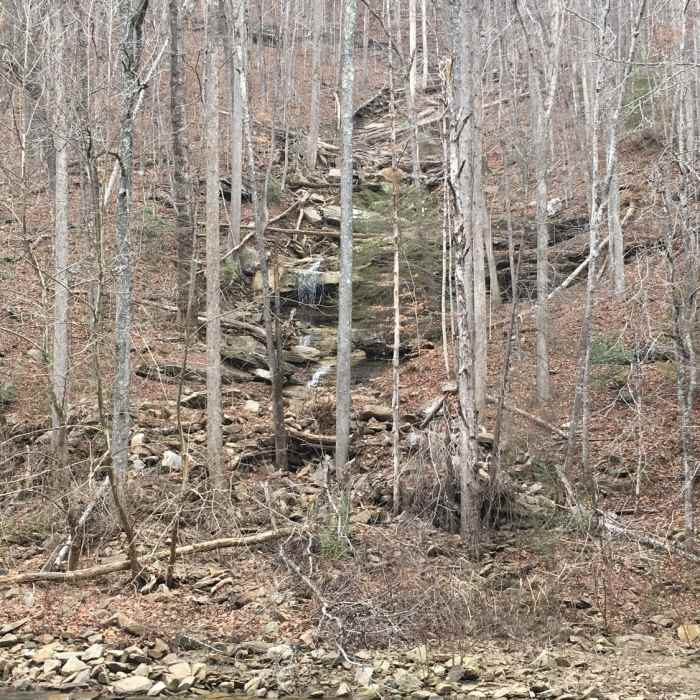 Near Piney River Pocket Wilderness