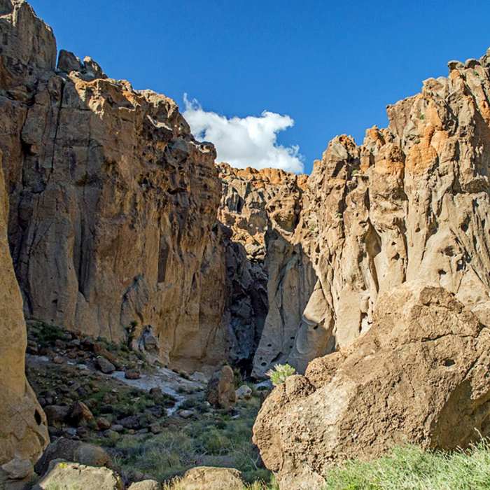 Near Rings Loop Trail