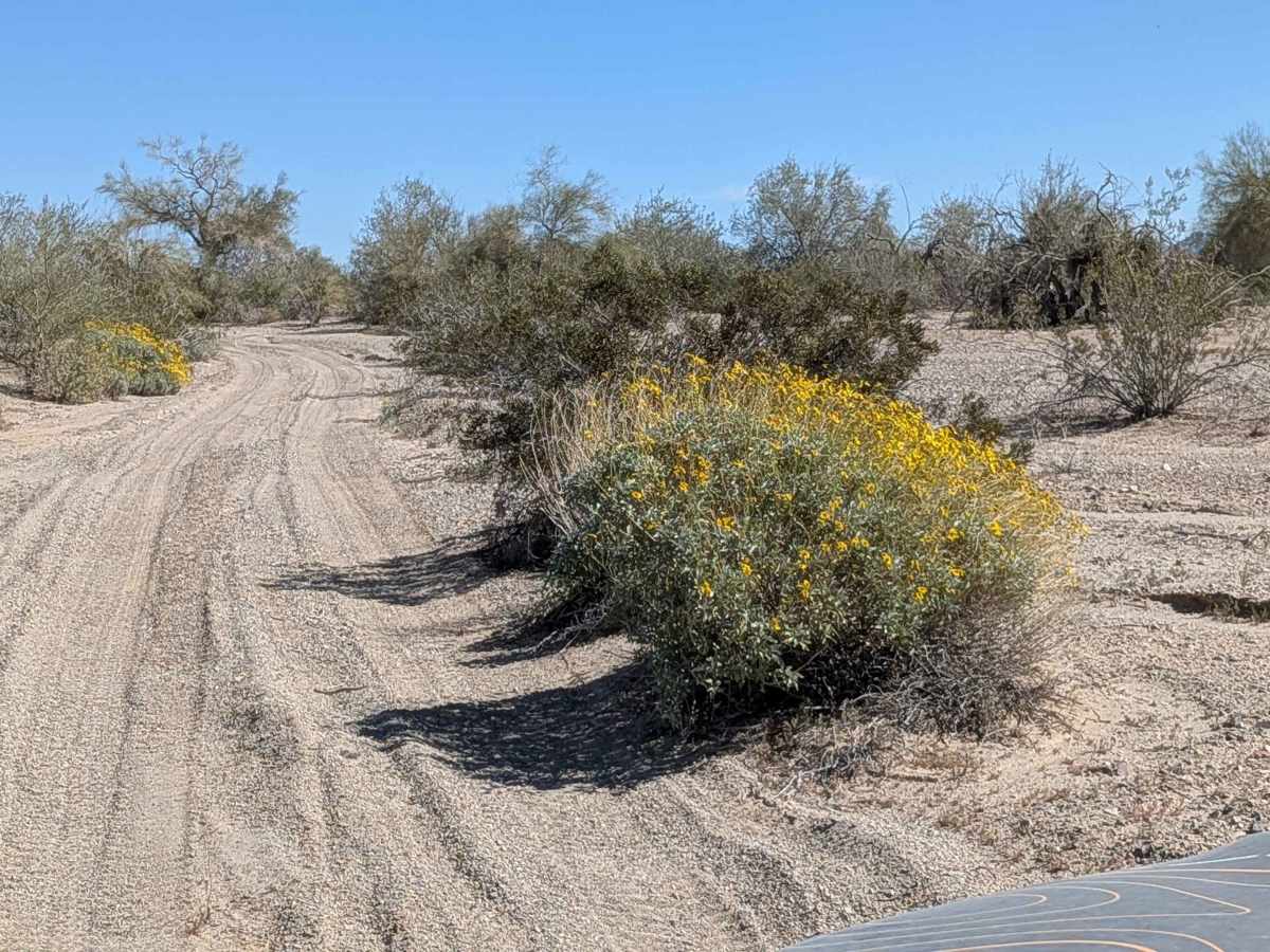 BLM 762 photo 4
