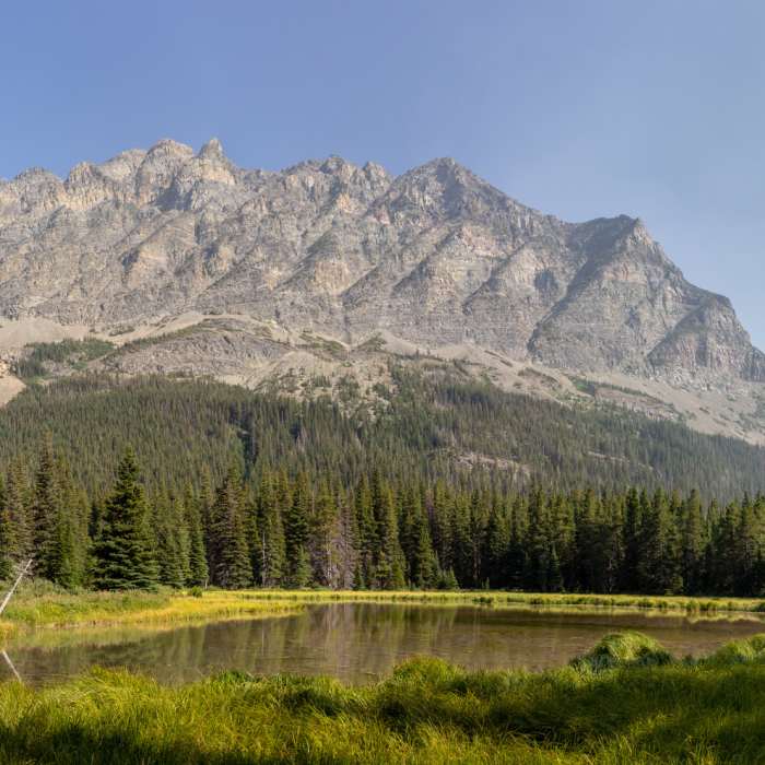 Near Pitamakan Pass Trail