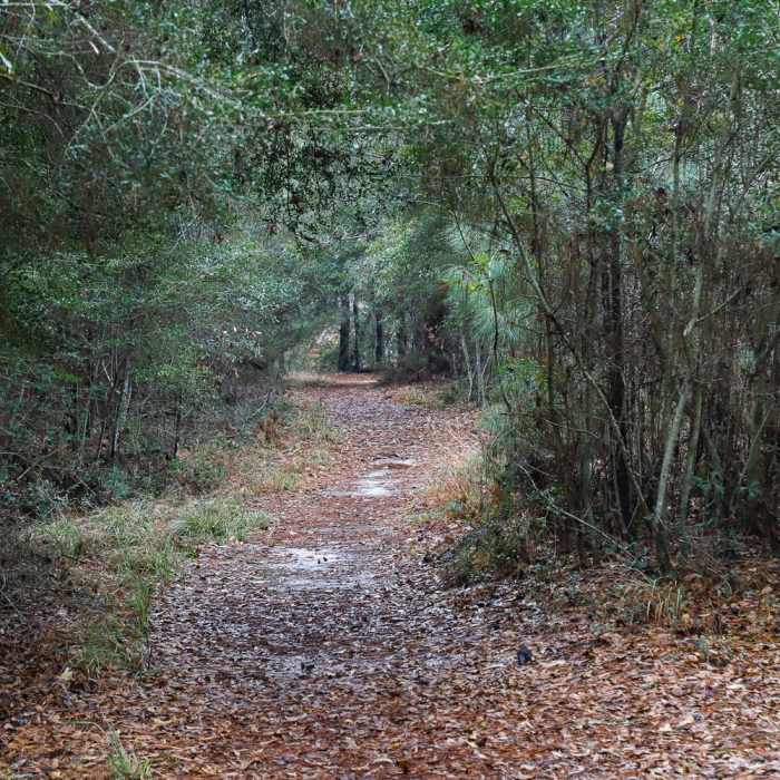 Near Riverwalk Trail