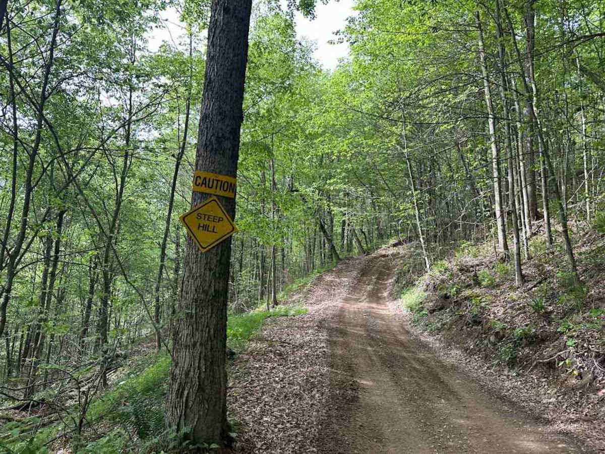 D Green trail photo