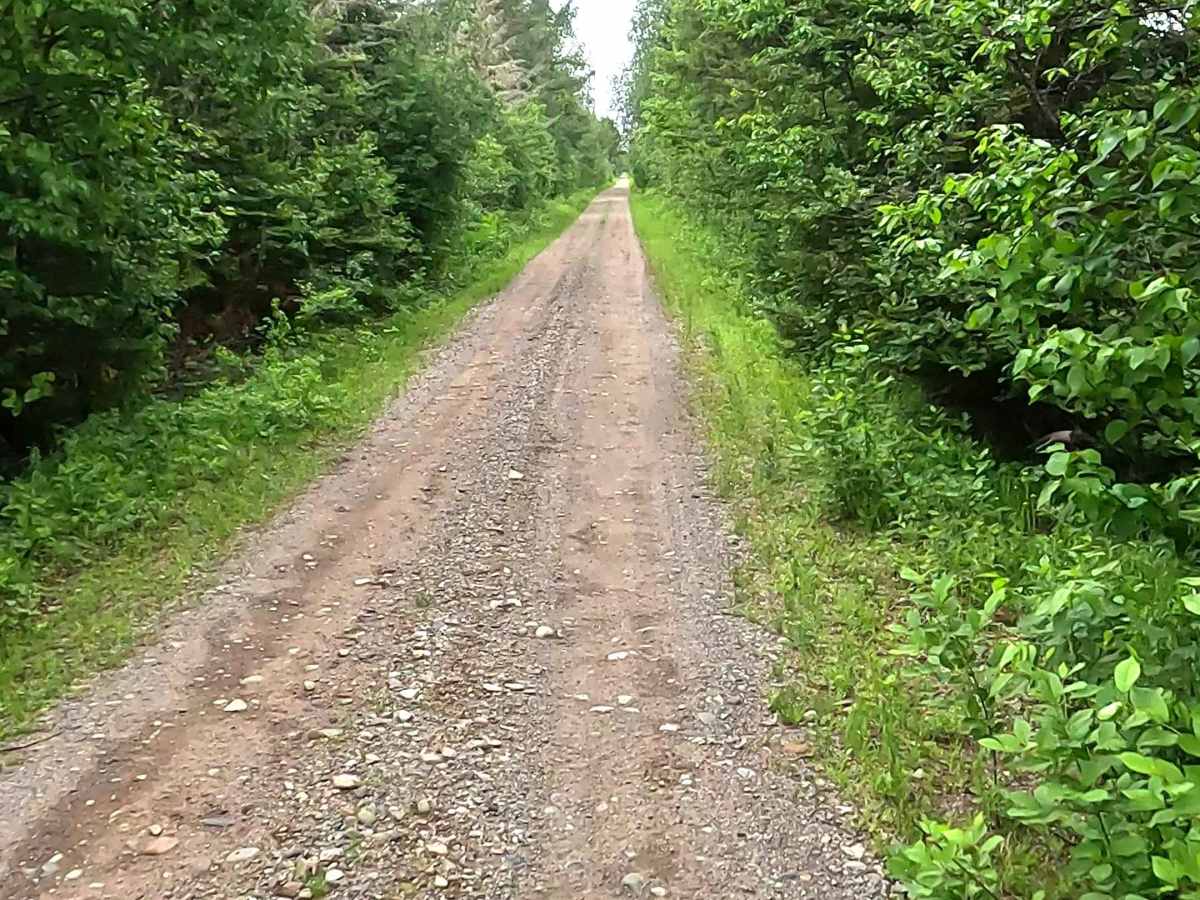 Off-Road Vehicle Route CL - Clowry Grade photo 5