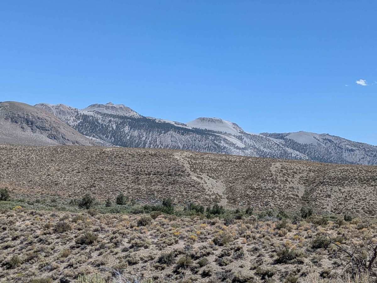 Rush Creek Road photo 5