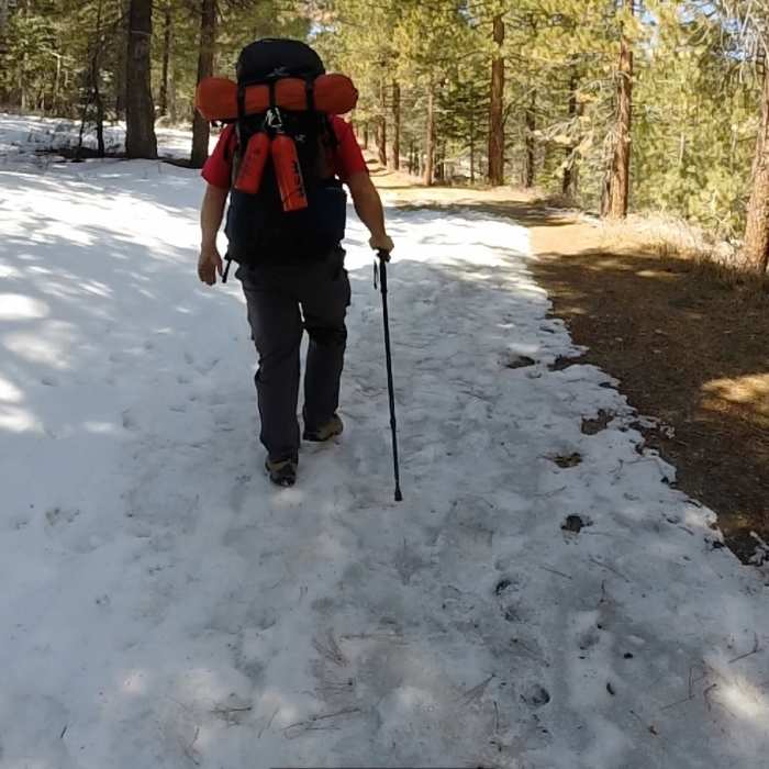 Near Mt. Pinos Road