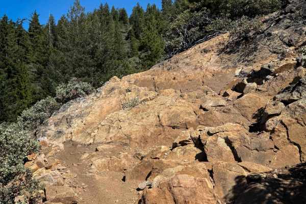 Trail 10 (11E44) 
