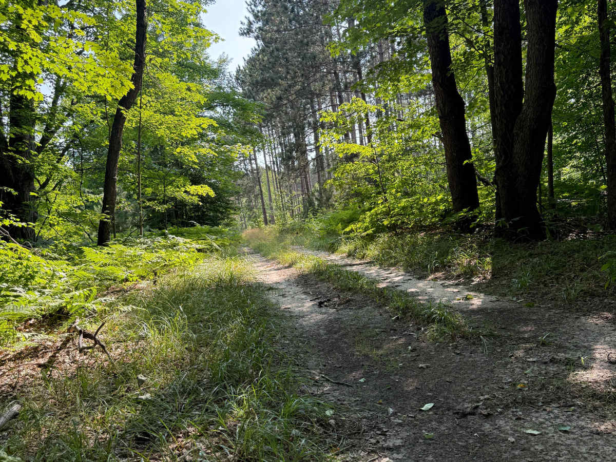 Healy-Henry South Trail photo 6
