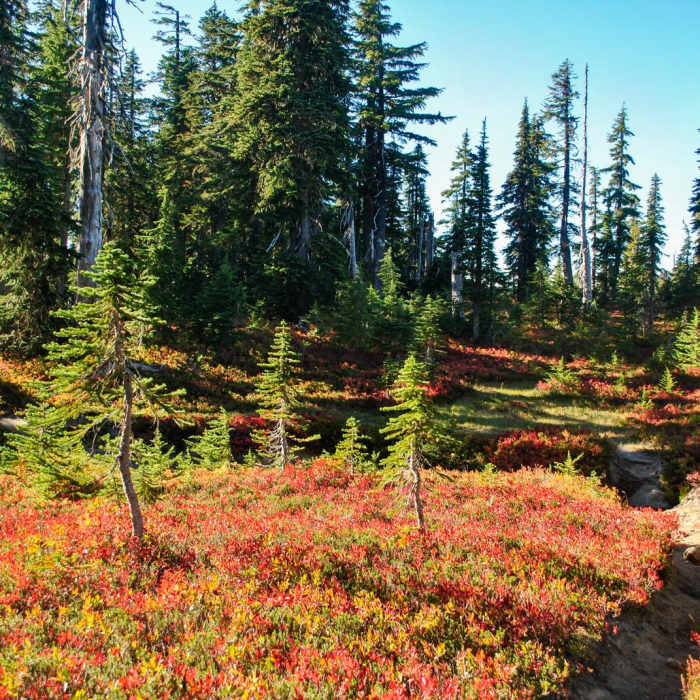Near Cultus Creek to Lemei Rock