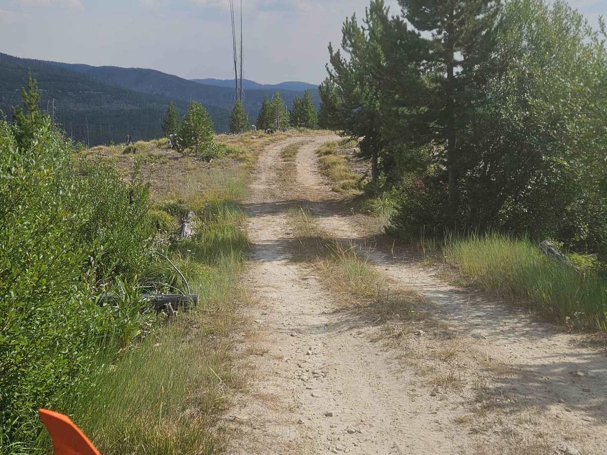 Divide Creek North photo 3