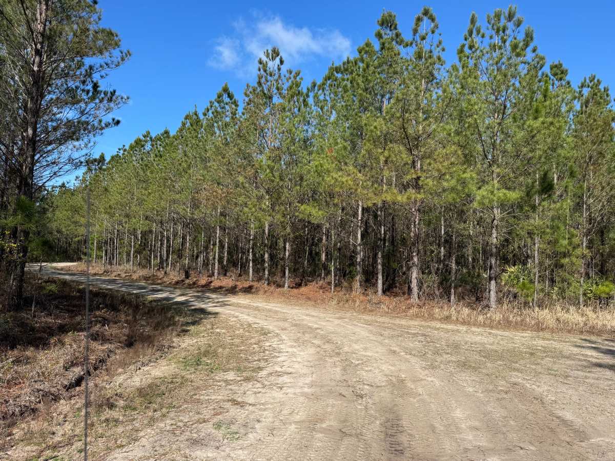 Pea Patch Loop trail photo