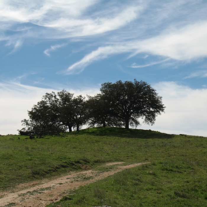 Near Upper Creek Trail