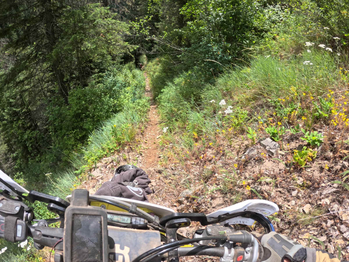 Bronson Meadows Loop photo 4