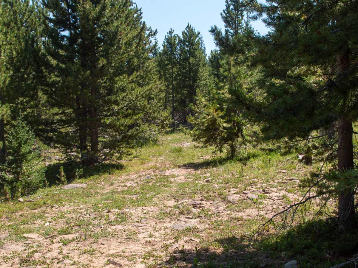 Center Creek - FS 10037 photo 3