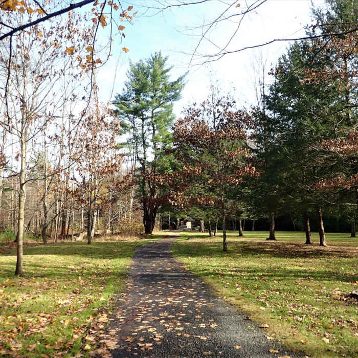 Near Shawangunk Ridge Trail: Mohonk Preserve Section