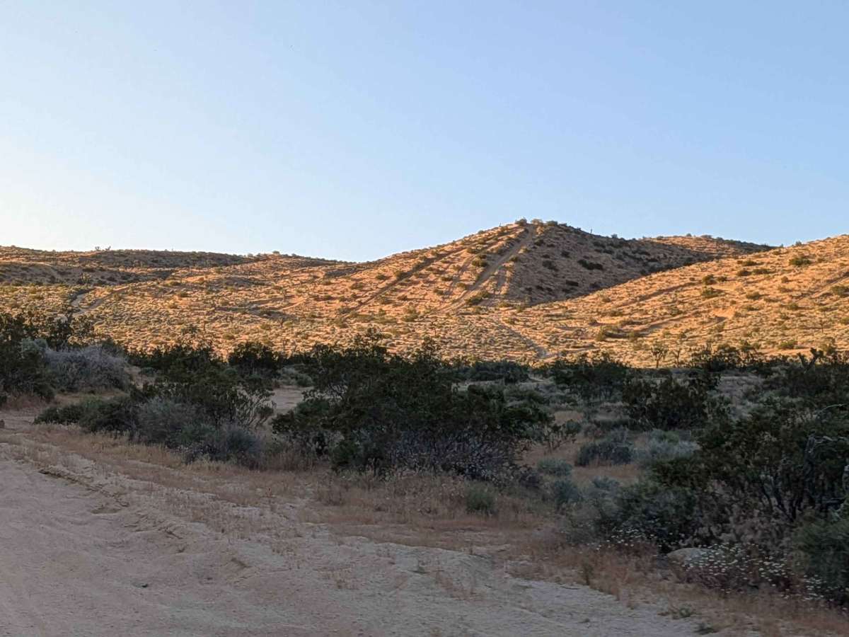 Dove Springs Canyon Rd BLM SC103 photo 5