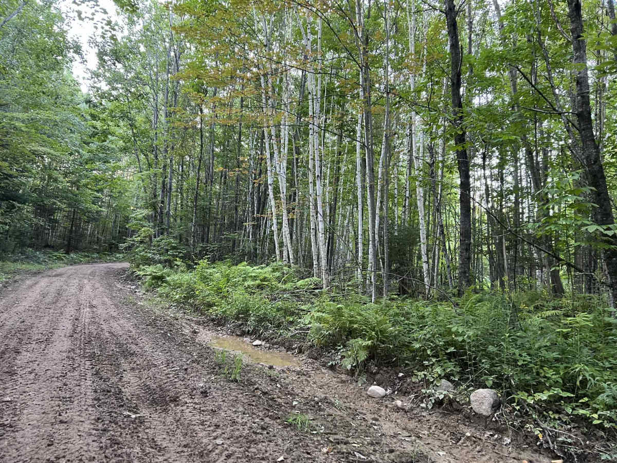 Forest County ATV/SXS 8 Mile Loop Trail 3 photo 6
