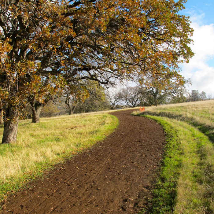 Near Mount Diablo Hike via Mitchell Canyon Visitor Center Near Mount Diablo Hike via Mitchell Canyon Visitor Center