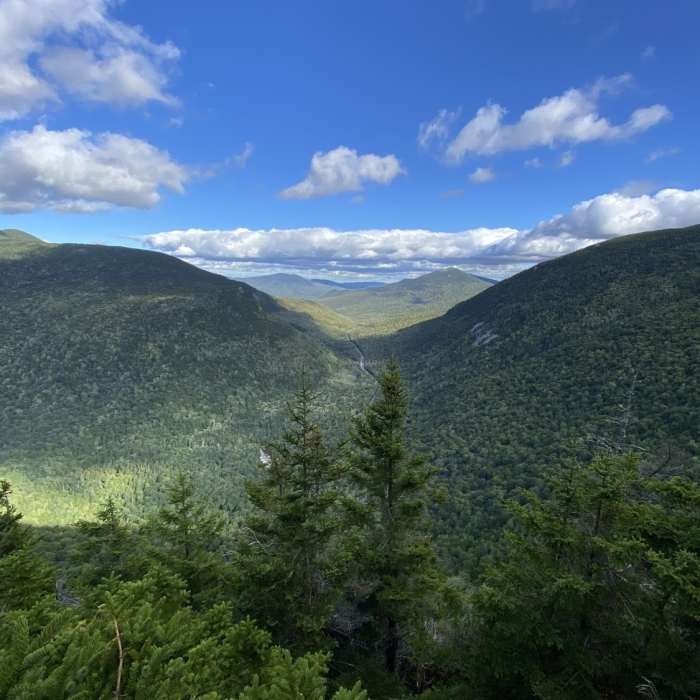 Near Old Speck Out and Back