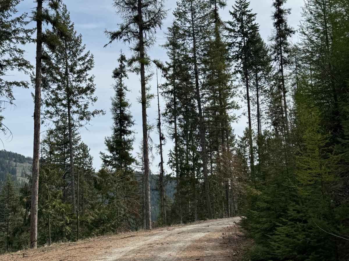 Lower Cabin - FS 6100-090 photo 6