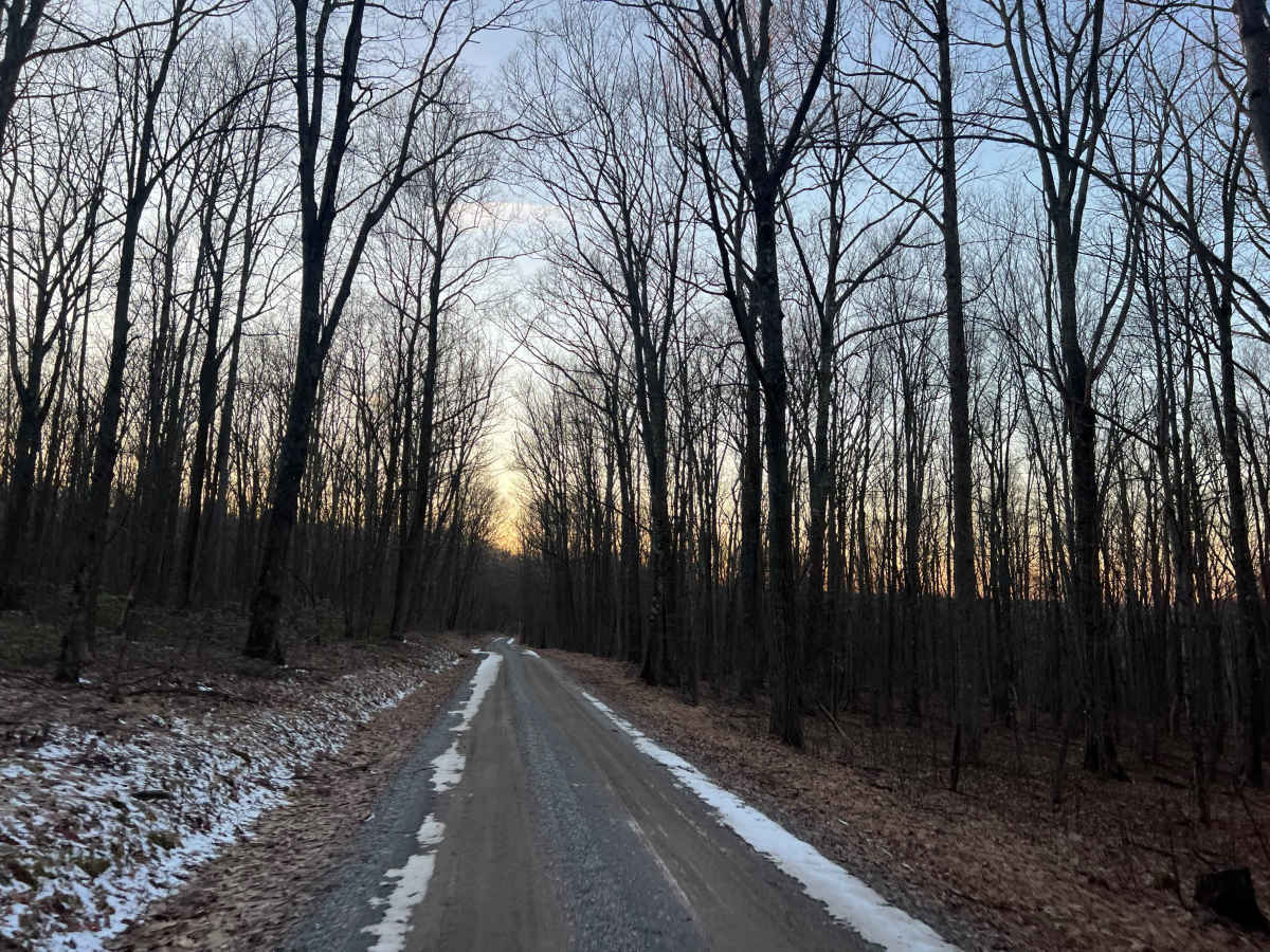 Laurel Ridge Road photo 3