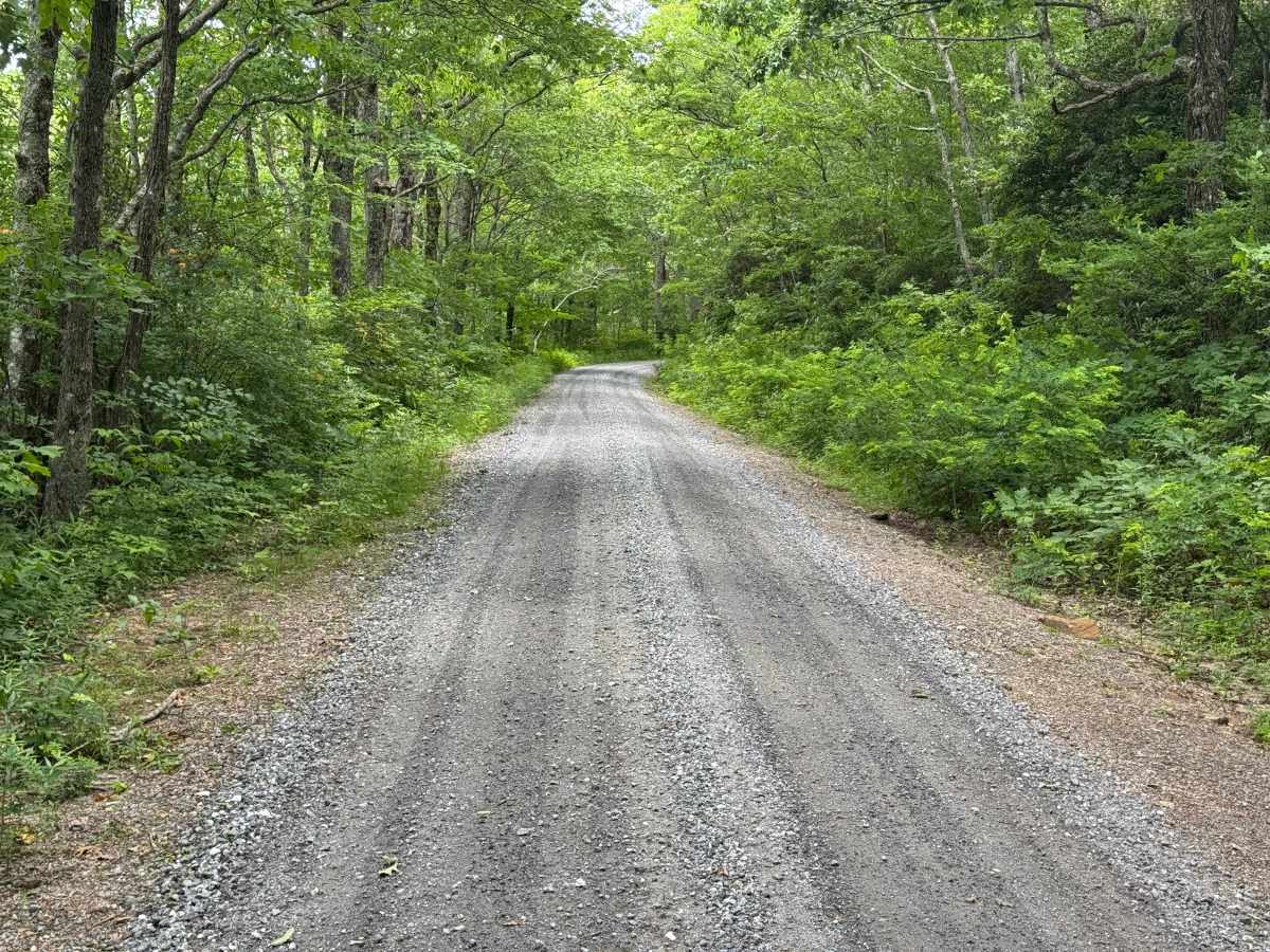 Upper Nantahala - FS 67 photo 4