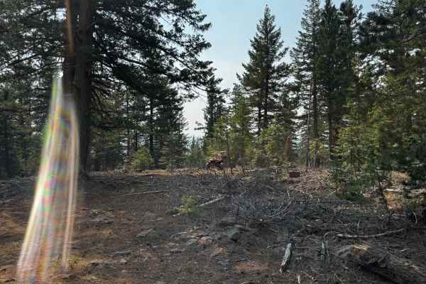 Elk Mountain Loop