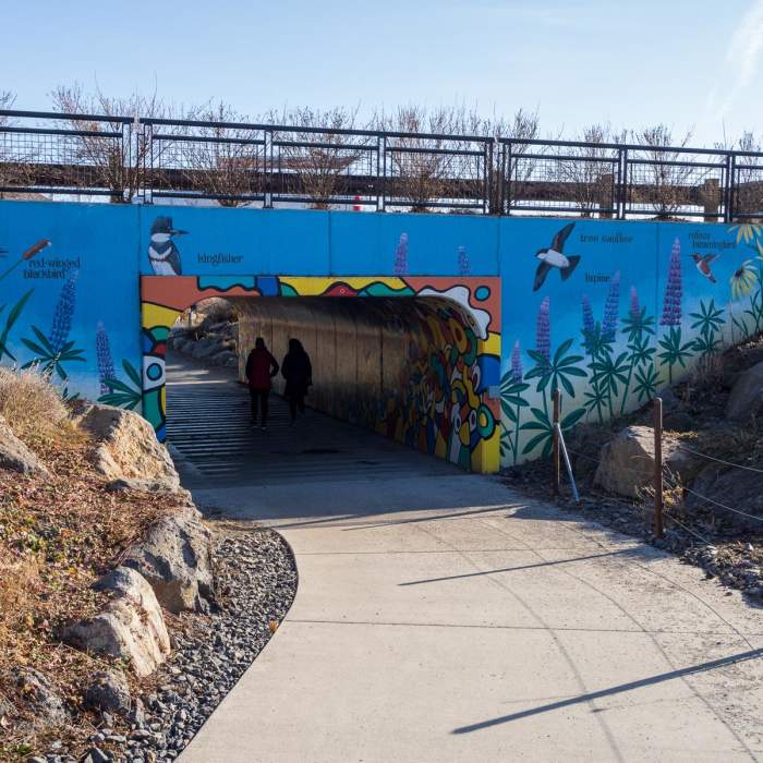 Near Deschutes River Trail (Mill A Loop)