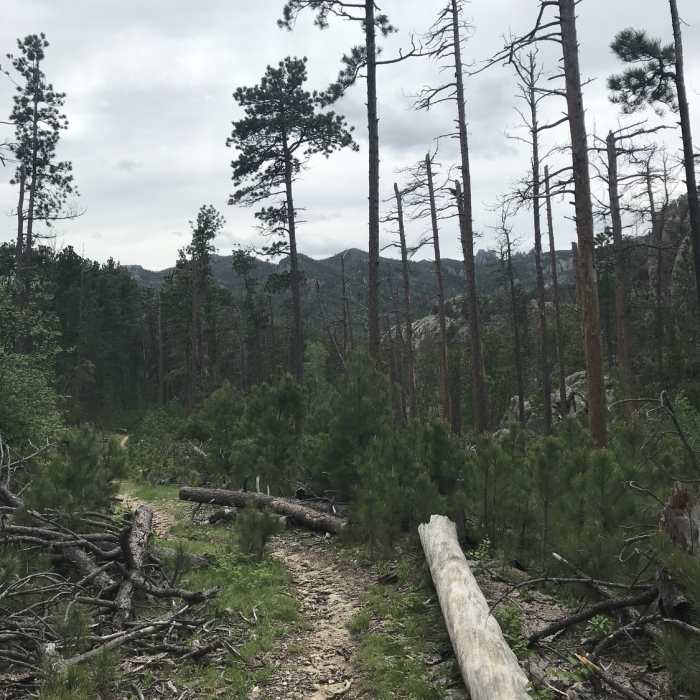 South on Horse Thief Lake Trail. Near Horsethief Lake Loop