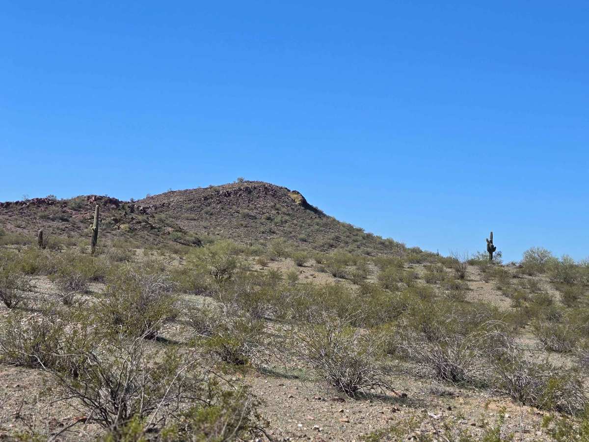 Cut Across the Grassy Plain (Trail 41056/9104) photo 4