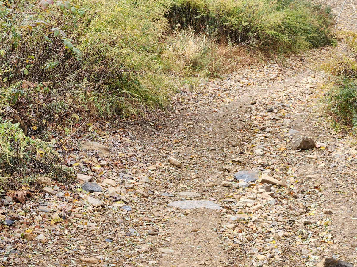 OHV 11 - Rock Run Recreation Area photo 4