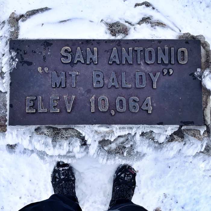 It speaks for itself. Near Mt. Baldy Trail #7W12