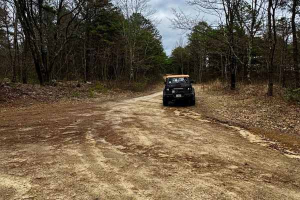 Slide Hollow Trail