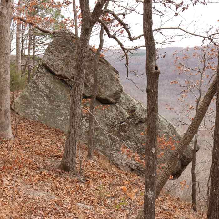 Near Whitaker Point Trail (Hawksbill Crag)