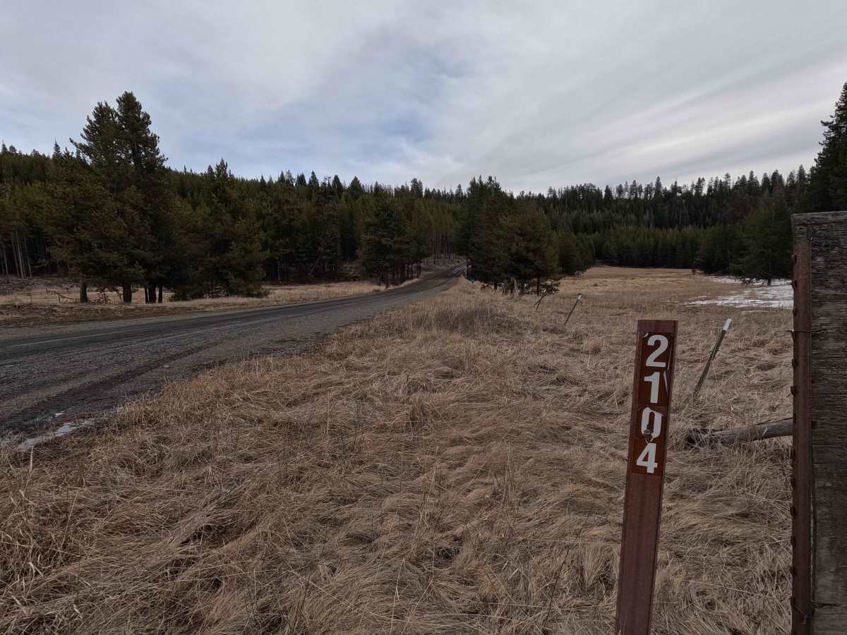 FS 2104 trail photo