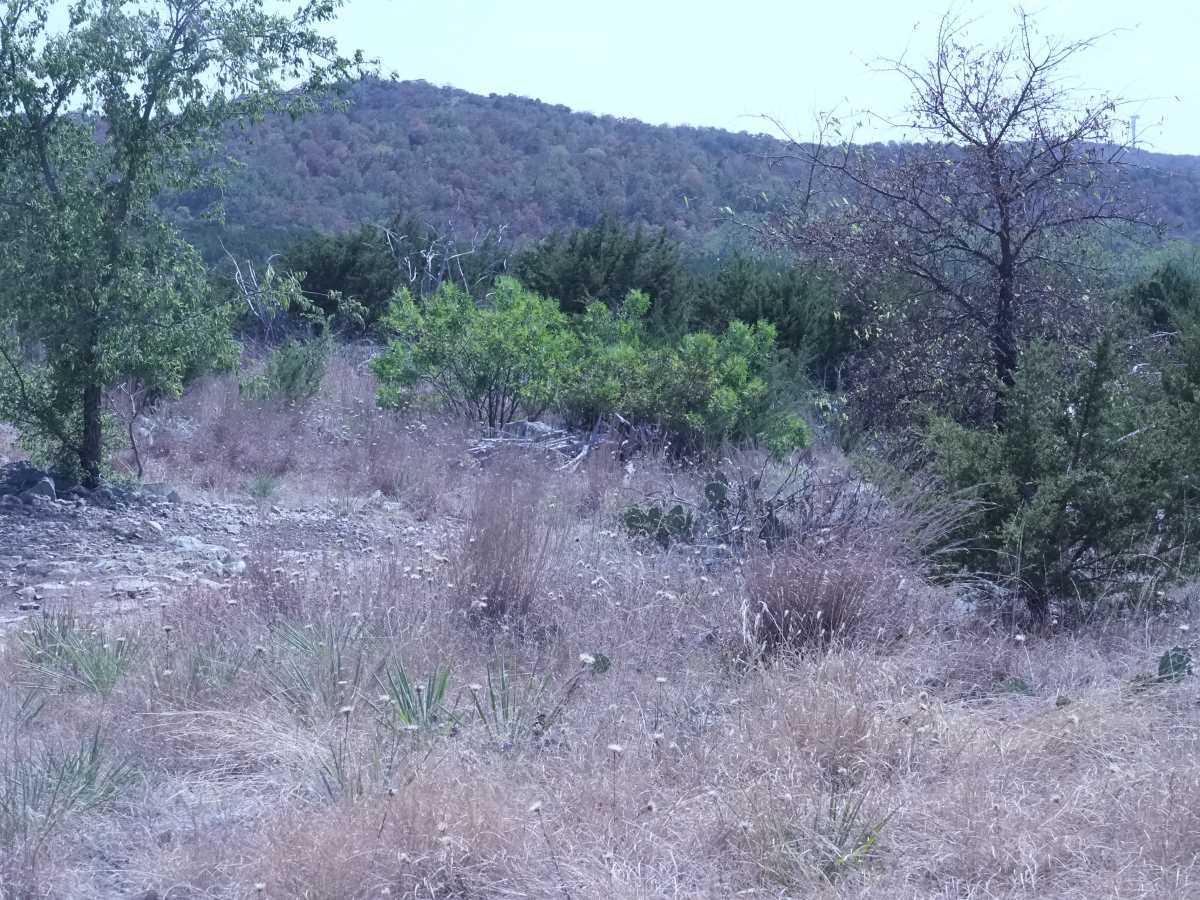 Blue 6 photo 3