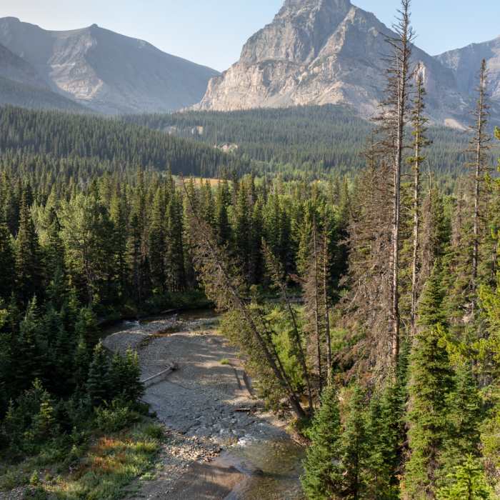 Near Mad Wolf Boundary Trail