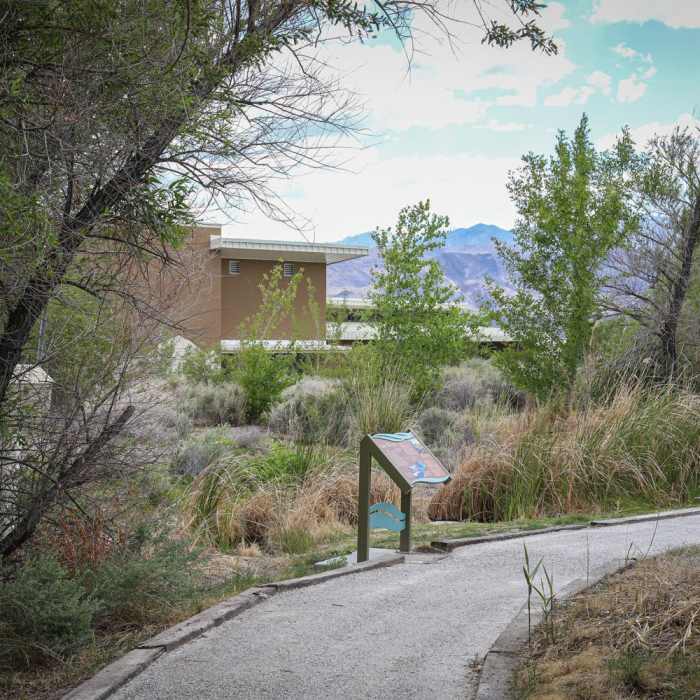 Near Jackrabbit Loop