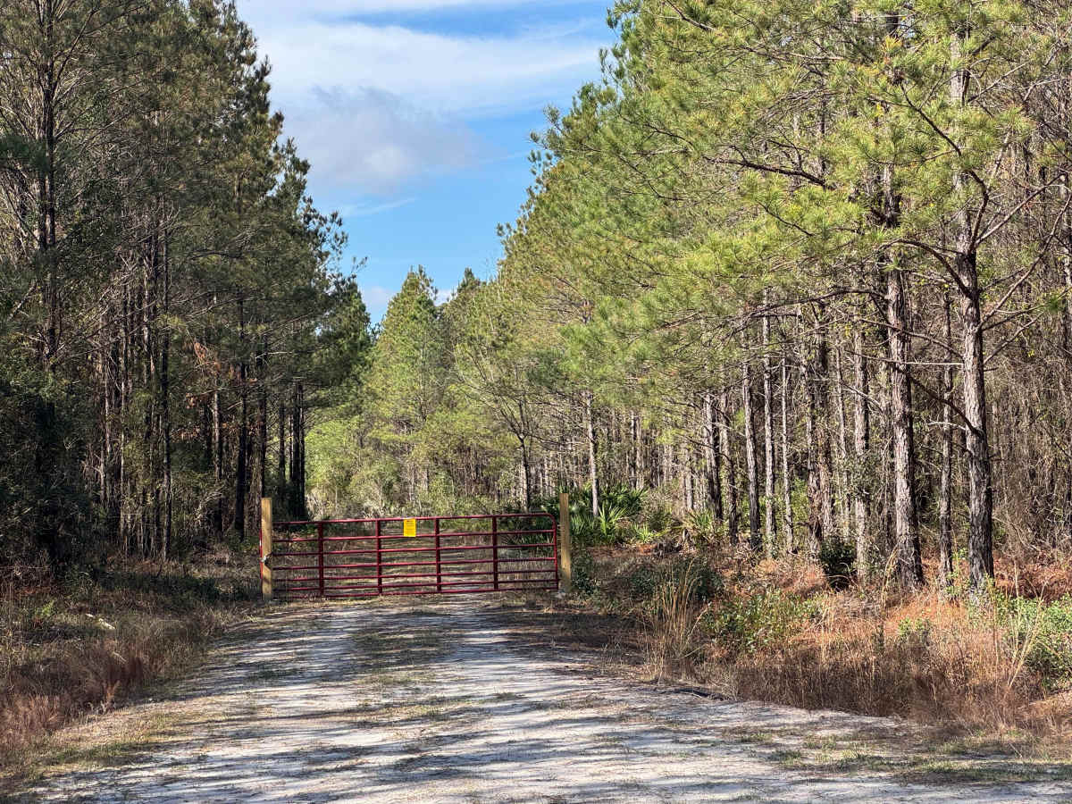 Pea Patch Loop photo 5