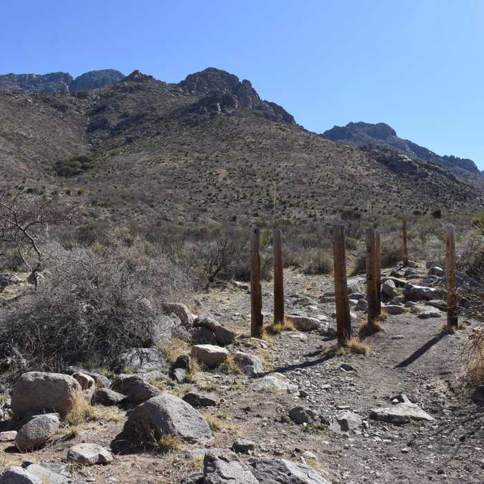 Near West Baylor Canyon Trail