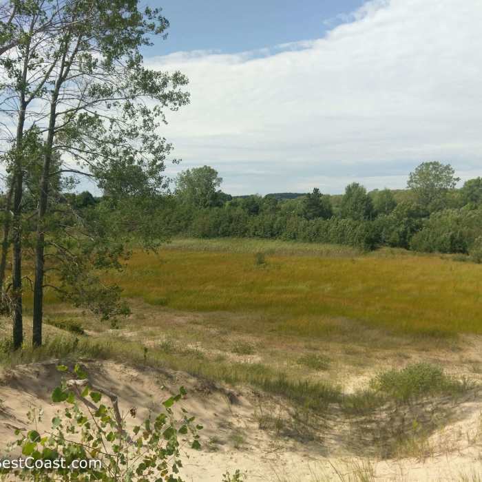 The view of the dunes from a spur trail. Near Kohler Dunes Cordwalk