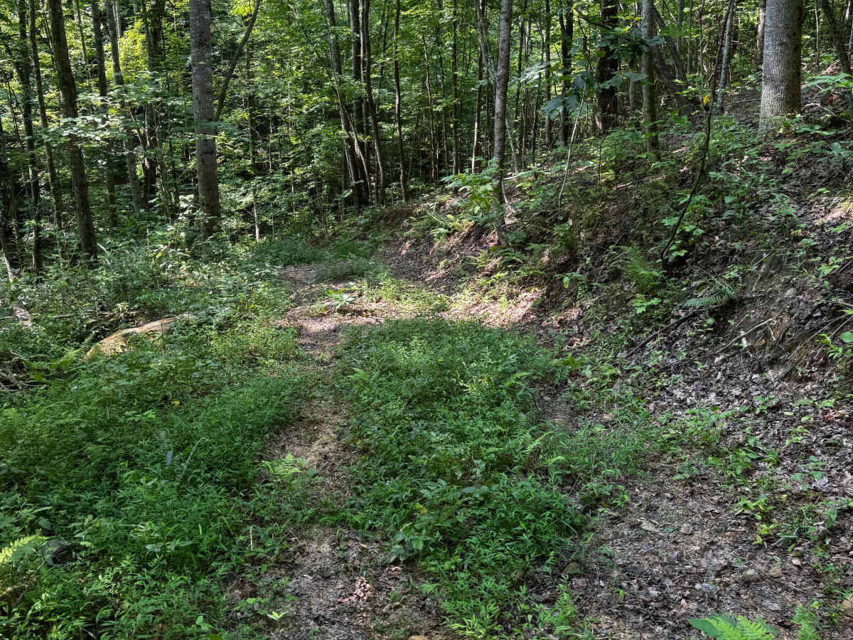 Trail 8B trail photo