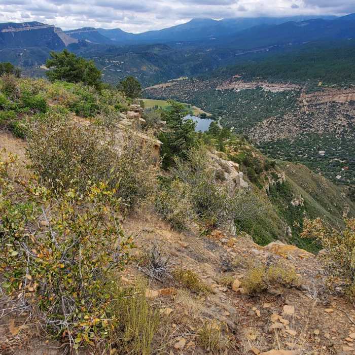 Near Loam Zone Trail