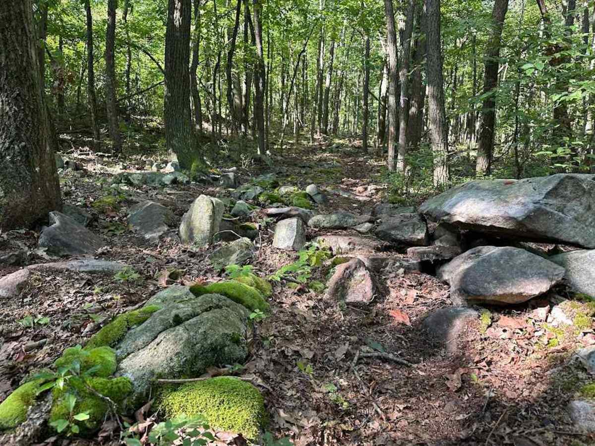 112-102 Connector Trail photo 2