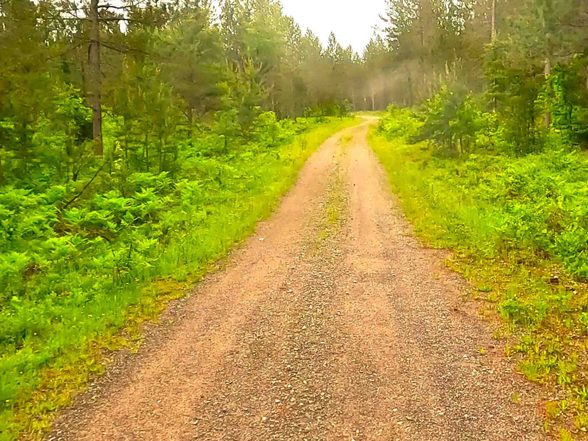 County Road AAD Spur trail photo