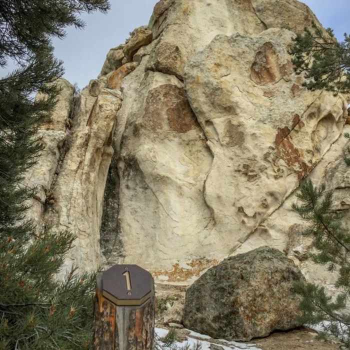 Near Geological Interpretive Trail Near Geological Interpretive Trail